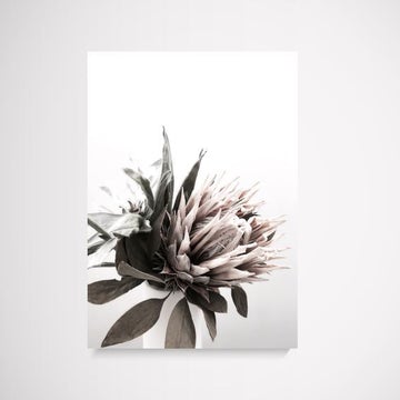 Wall Prints Online Australia are Now Supplied in Affordable Price!